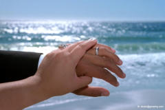 Santa Cruz Beach Wedding Photography & Videography Close-up of rings 